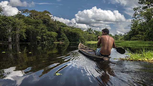 INCT Amazonia Carlos Nobre